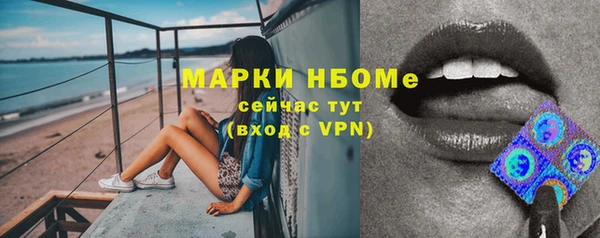 тгк Алексин