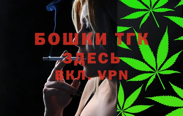 тгк Алексин