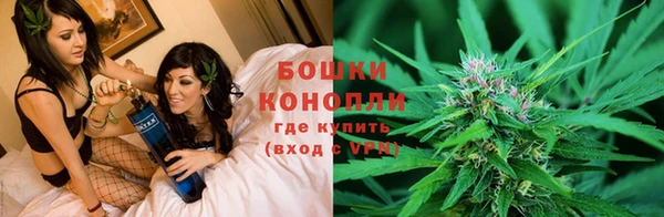 каннабис Алзамай
